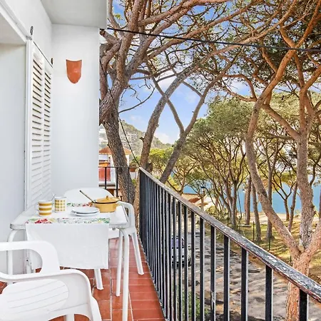 Anc 10 - リャフラン