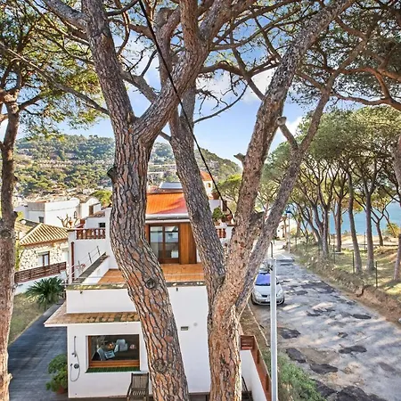 Anc 10 - Apartament