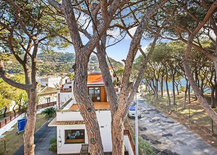 Anc 10 - Apartament